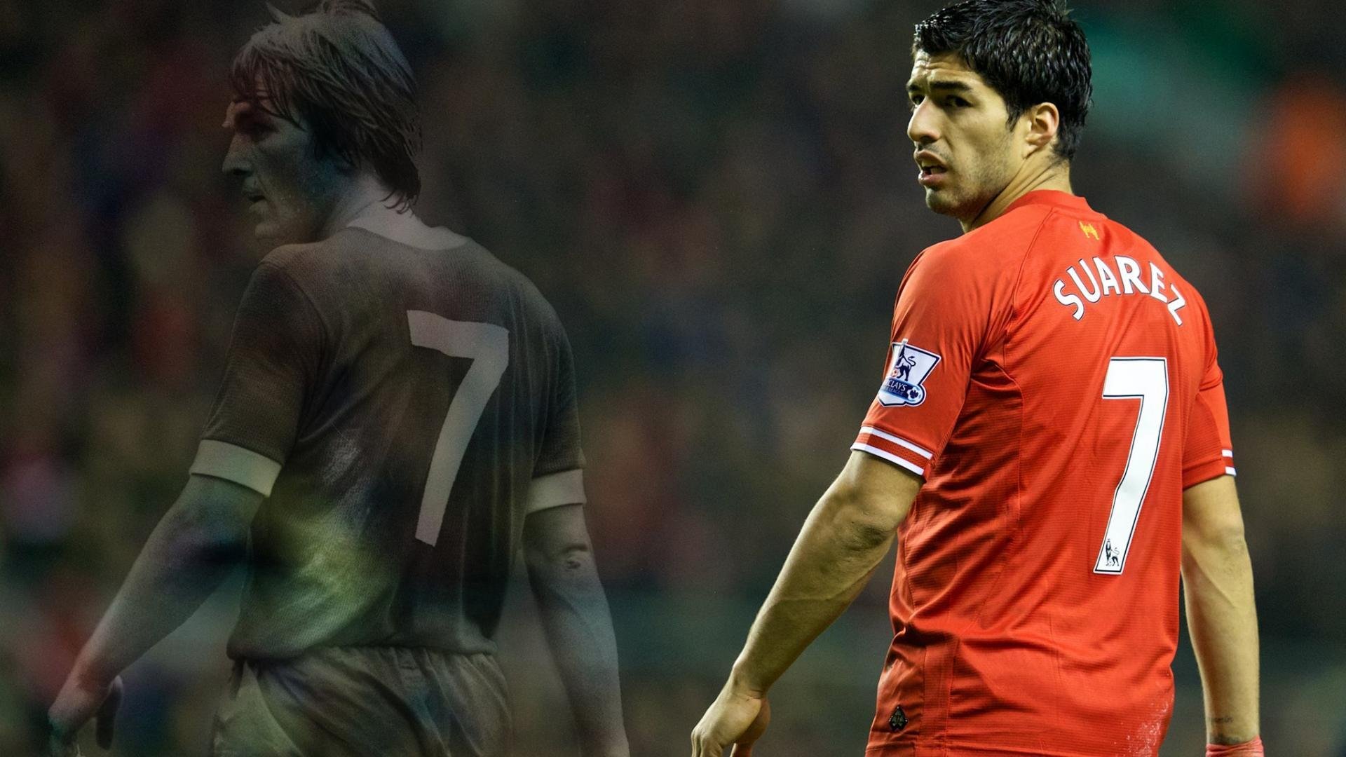 服务保障：志愿者体系+智能平台同步上线，志愿者服务信息管理平台